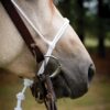 Francois Gauthier White Rope Noseband - Image 2