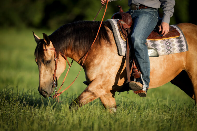 Cowboy Tack Southwest Collection